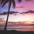 Exploring Career Opportunities in Education in Hawaii