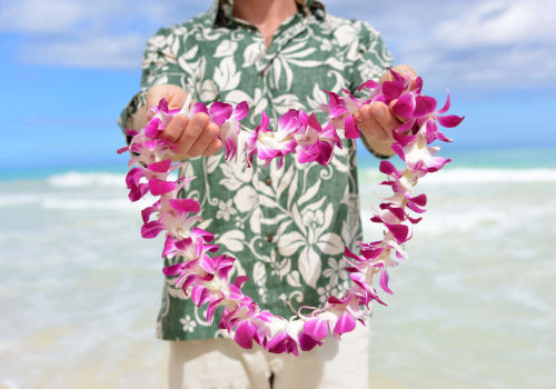 Discover the Best Hawaii Education Blogs